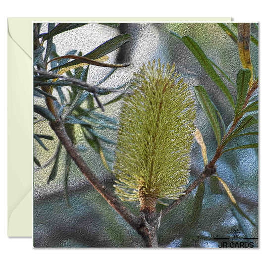 Card - Banksia