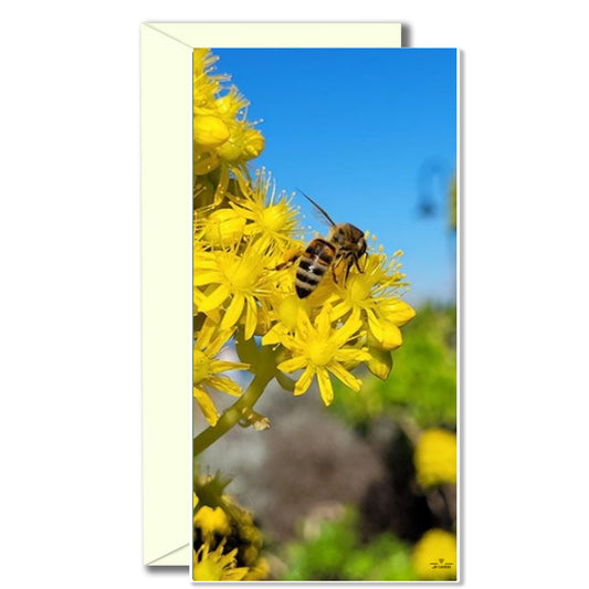 Card - Yellow Bee